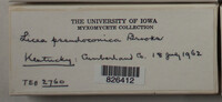 Image Associated With the Occurence